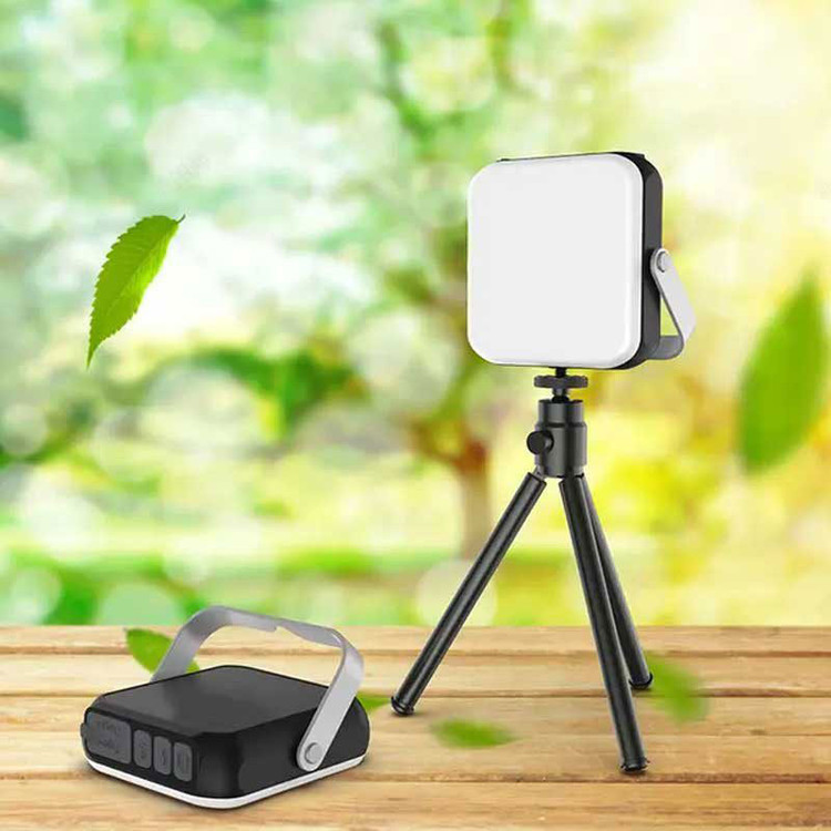 رنگهای مختلف نور، قابلیت پاوربانک، بدنه مقاوم در برابر ضربه و آب، و برد نور ۳۰ متر c12